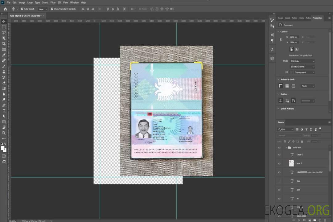 Look de photo de passeport albanais template